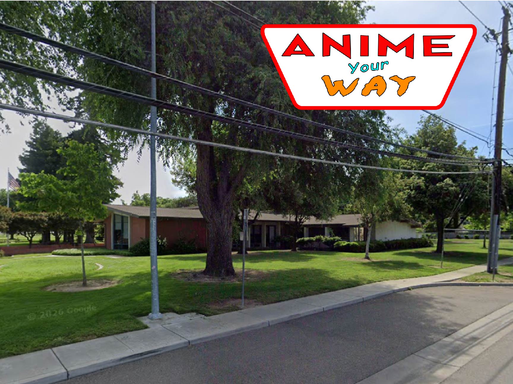 Tracy library 01 Artboard 1
